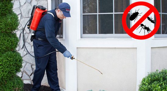 Evka 4 Uçan Haşere İlaçlama böcek ilaçlama ve haşere kontrolü — ilaclama-tr.com